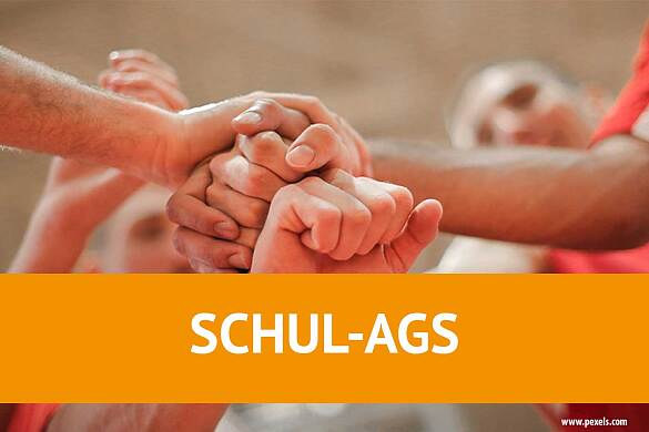 Schul AGS